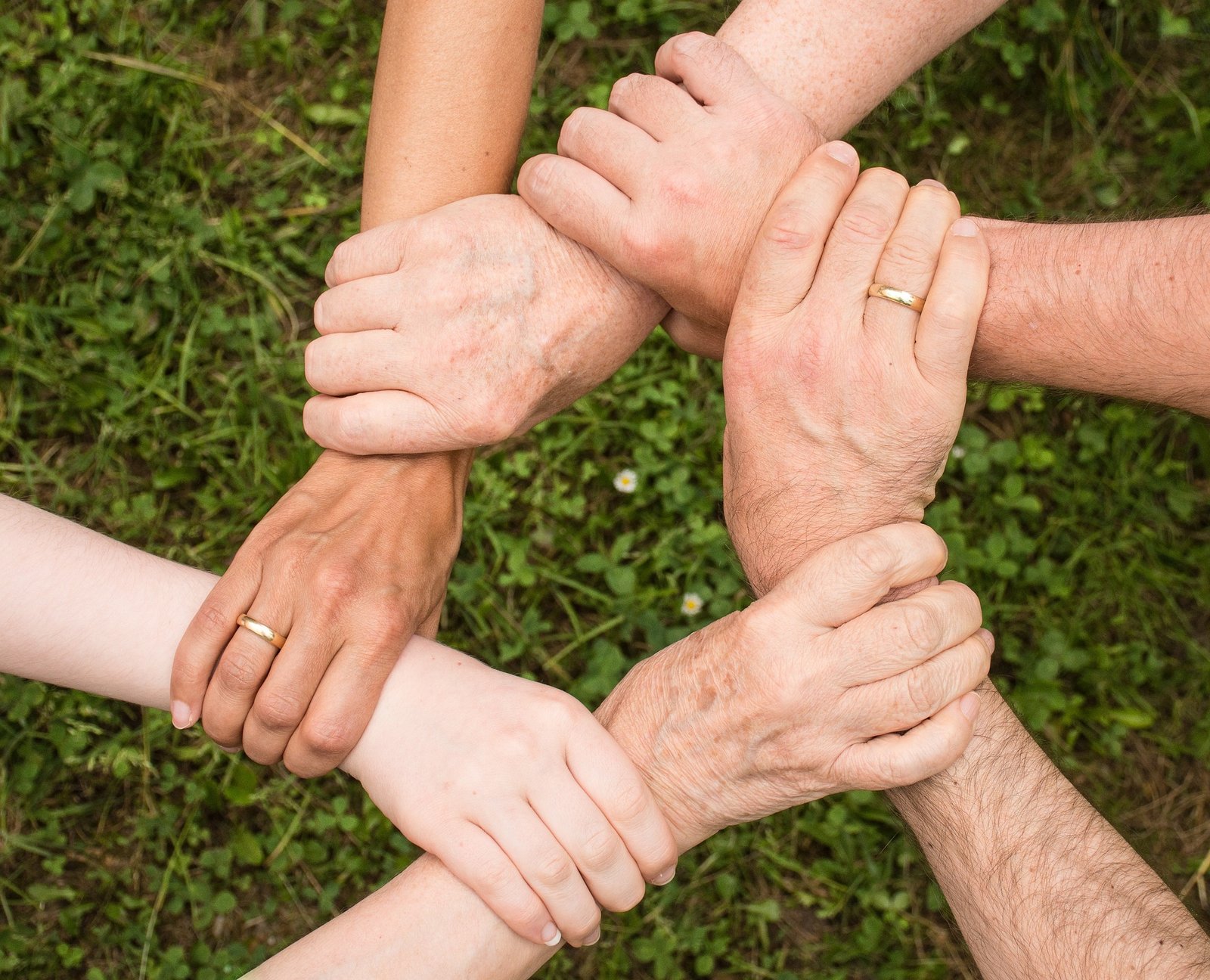 Wie deelt die heelt!, groep coaching