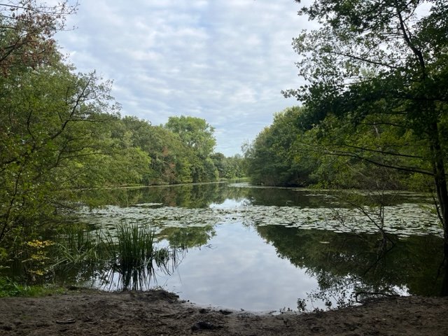 Wandelen met Linda in het bos