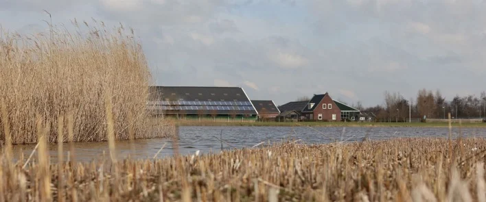 Rustige boerderij locatie voor coaching en ontspanning in Noord-Holland